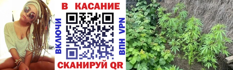 Где купить Могоча Каннабис Кокаин ГАШИШ МЕФ