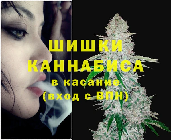 гидра Алексин