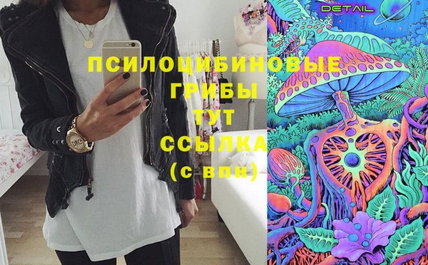 PSILOCYBIN Осташков