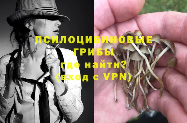гидра Алексин