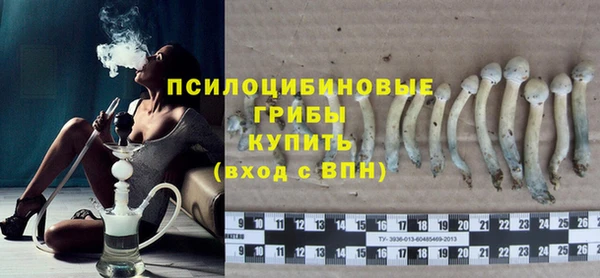 гидра Алексин