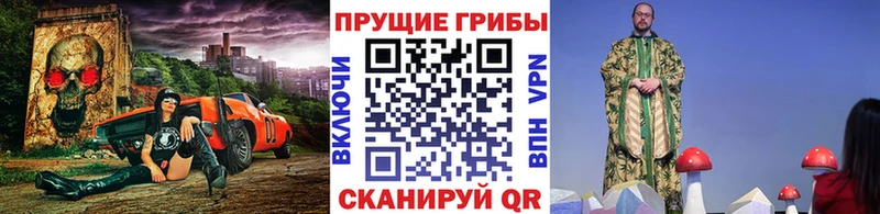 Псилоцибиновые грибы мицелий Могоча
